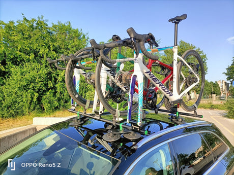 TreeFrog Roundbar Bike Rack For 5 Road/Gravel Bikes | The Bike Affair