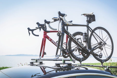 TreeFrog RoundBar Universal Fork Mount with Rear Wheel Holder | The Bike Affair