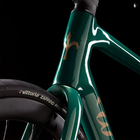 Wilier Garda Disc Brake Frameset | The Bike Affair