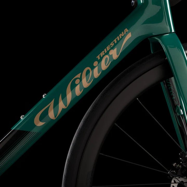 Wilier Garda Disc Brake Frameset | The Bike Affair