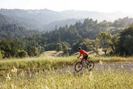 WTB Riddler Comp Gravel Tyre 700x37C (Wired) | The Bike Affair