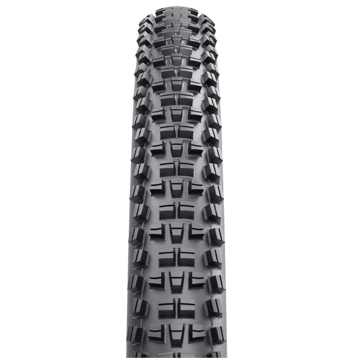 WTB Trail Boss Comp Mountain Tyre 29x2.25 (Wired) | The Bike Affair