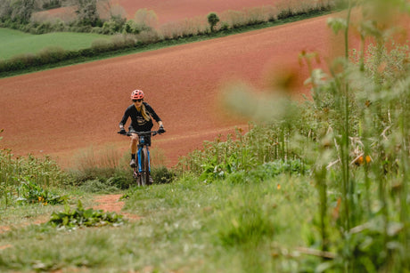 WTB Trail Boss Comp Mountain Tyre 29x2.25 (Wired) | The Bike Affair