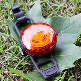 Cateye Sync Wearable SL-NW 100 Chargable Safety Tail Light | The Bike Affair