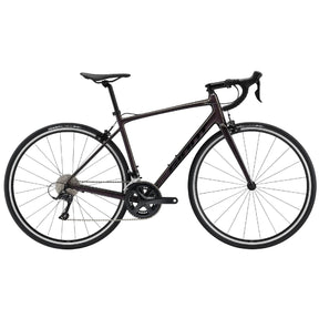 Giant Contend 1 Road Bicycle | The Bike Affair