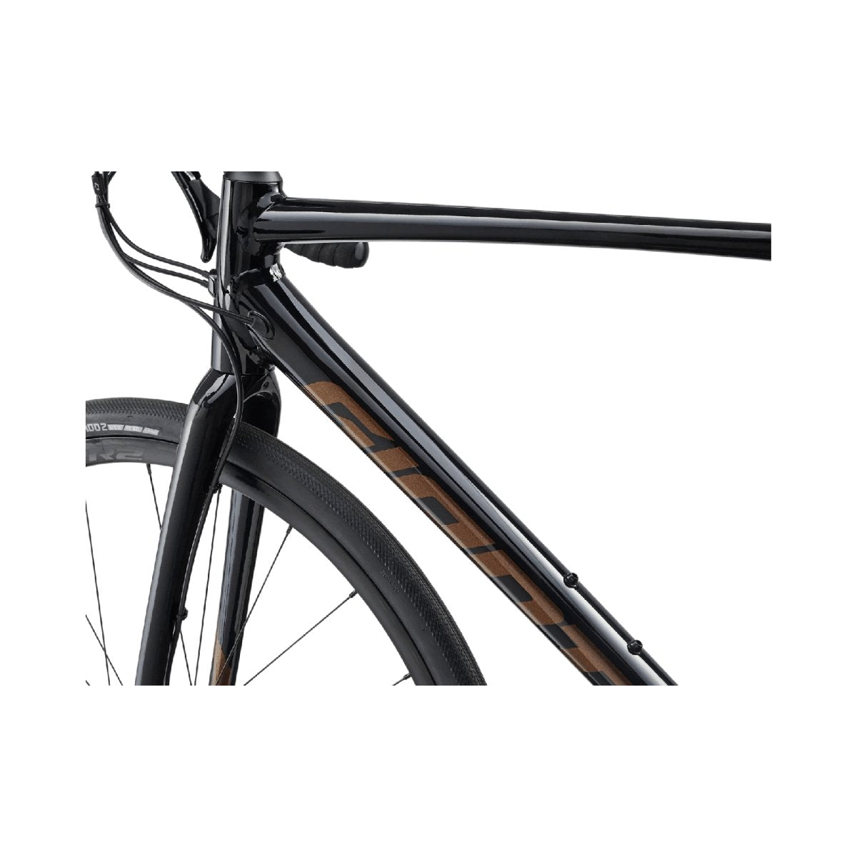 Giant Contend AR 1 Road Bicycle | The Bike Affair
