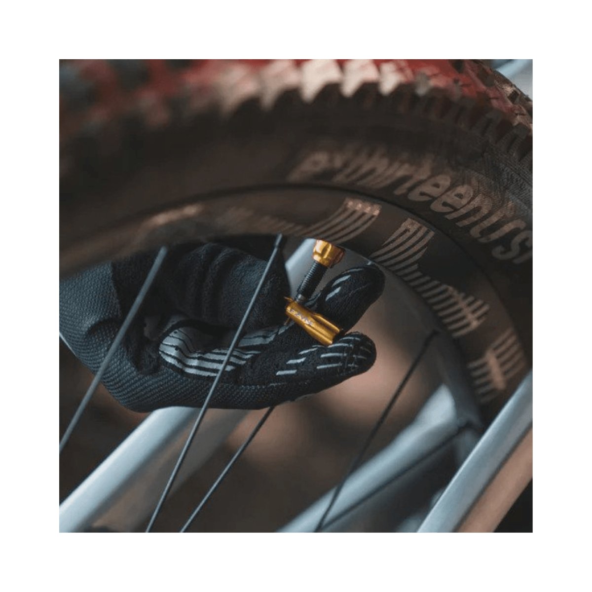 Lezyne CNC Tubeless Valves (2 Pcs) | The Bike Affair