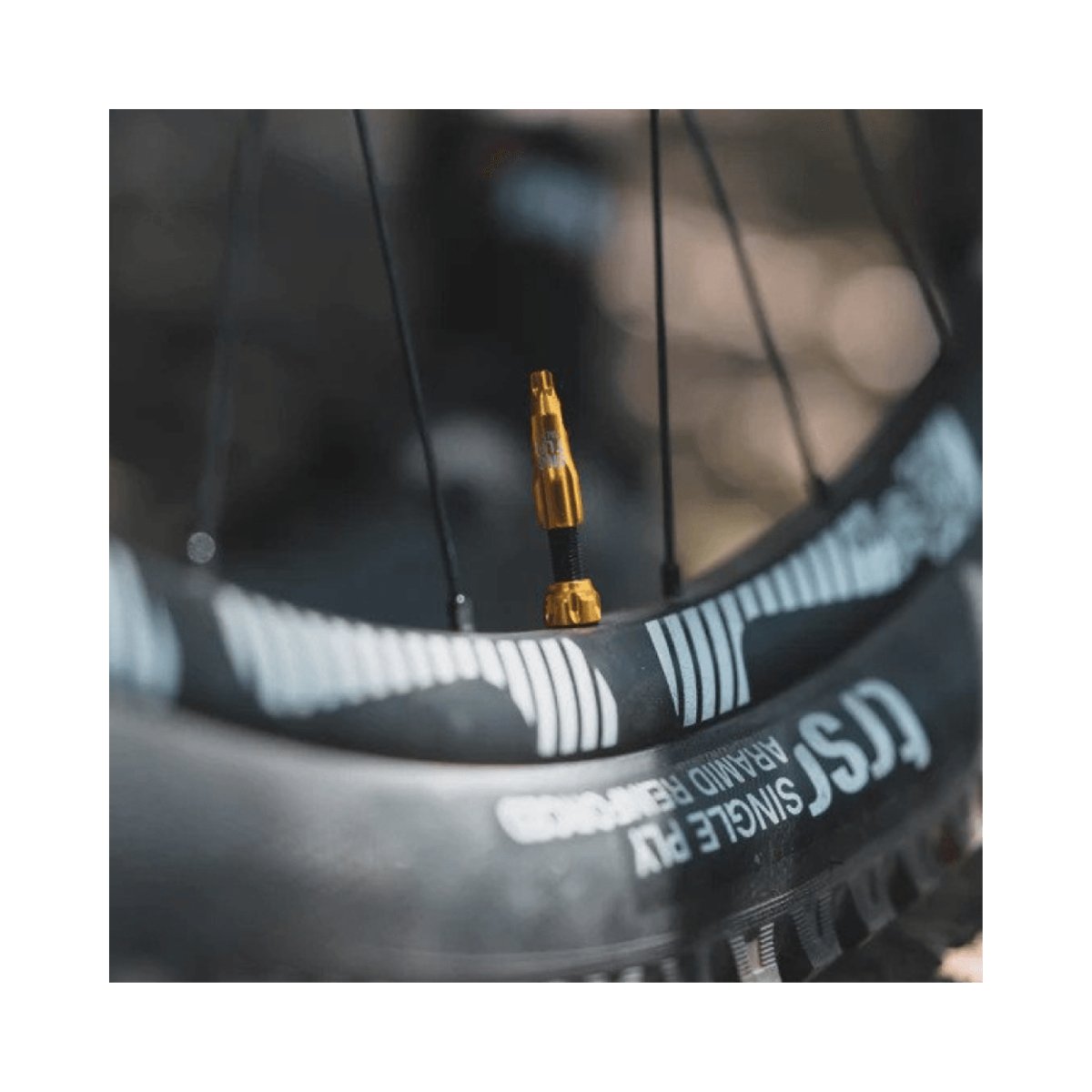 Lezyne CNC Tubeless Valves (2 Pcs) | The Bike Affair